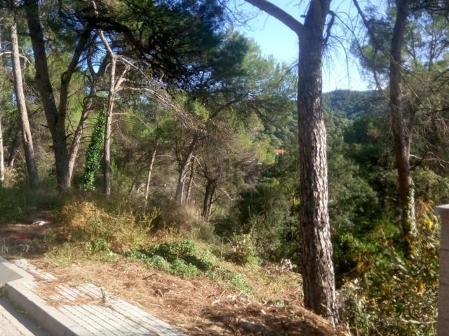 Terreno, Vacarisses