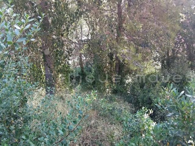 Terreno, Vacarisses