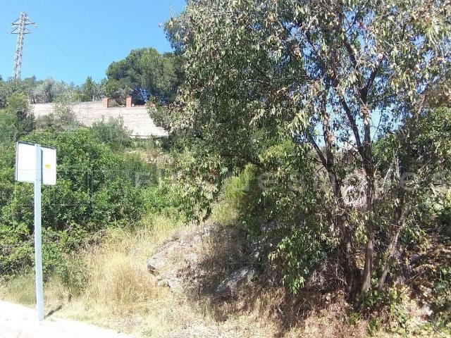 Terreno, Vacarisses