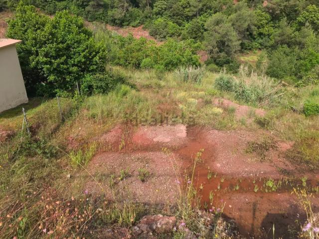 Terreno, Vacarisses