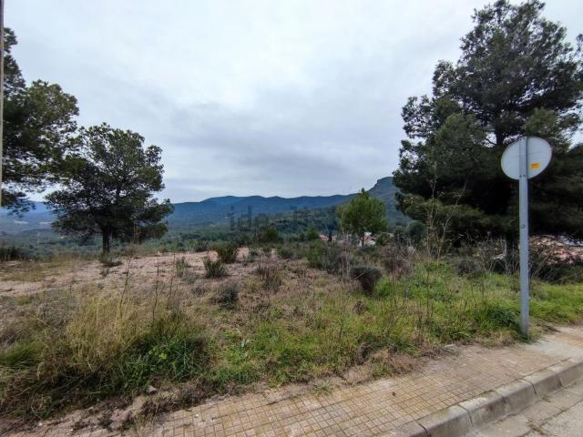 Terreno, Vacarisses