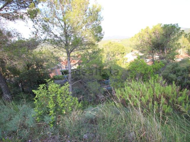 Terreno, Vacarisses
