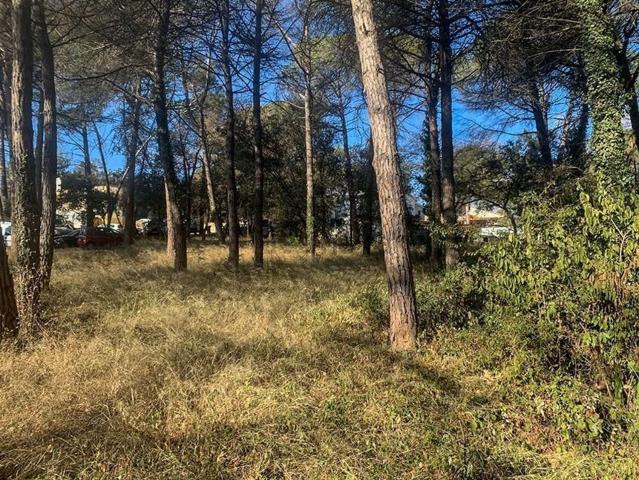 Terreno, Vacarisses