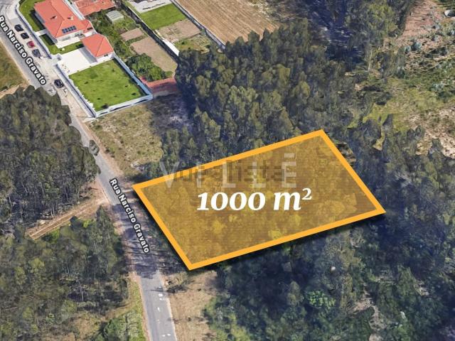 Terreno, Vagos