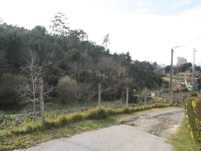 Terreno, Valongo