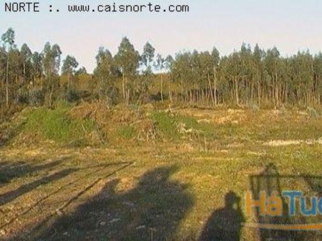 Terreno Valongo Quinta da Lousa | 26080106595