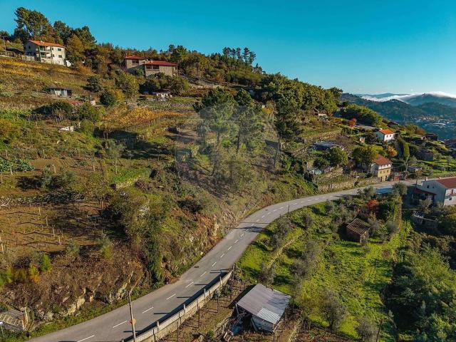 Terreno, Valadares