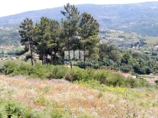 Terreno, Valadares