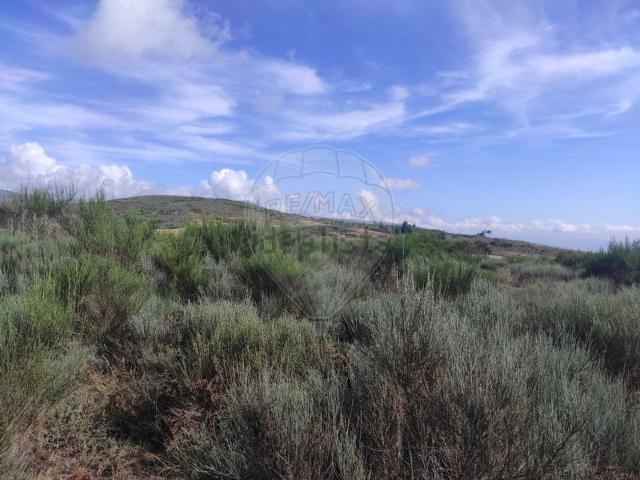 Terreno, Valadares