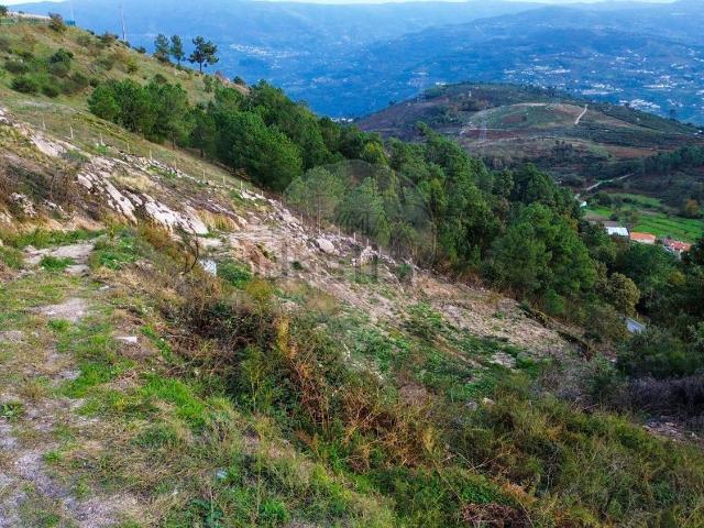 Terreno, Valadares