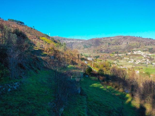 Terreno, Valadares