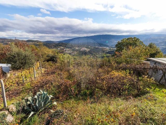 Terreno, Valadares