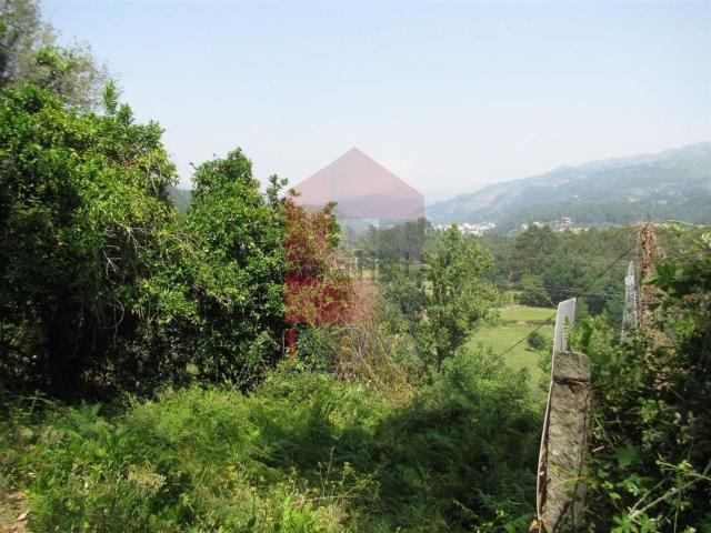Terreno, Valbom e Passô