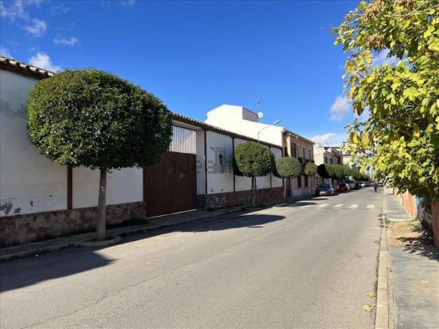 Terreno, Valdepeñas
