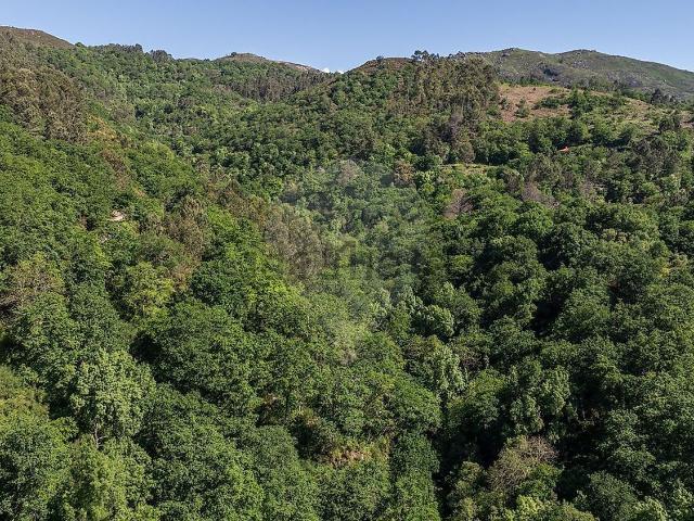 Terreno, Valdreu