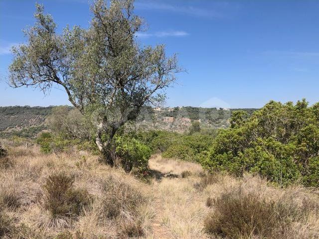 Terreno, Vale dos Barris, Carrascal, Palmela