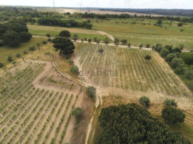 Terreno, Vale de Santarém