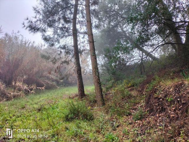 Terreno, Vale de Santarém