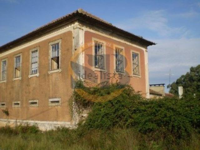 Terreno, Válega