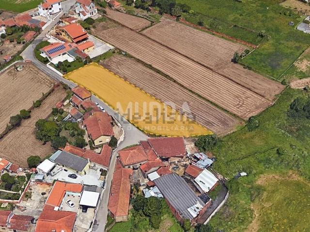 Terreno, Válega