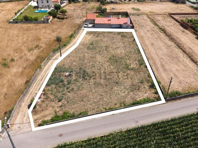 Terreno, Válega