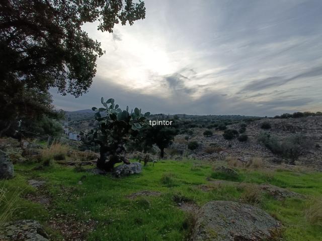 Terreno, Valencia de Alcántara