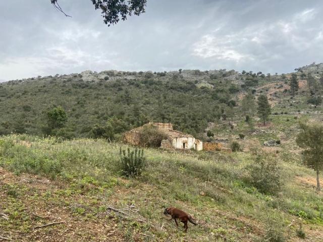 Terreno, Valencia de Alcántara