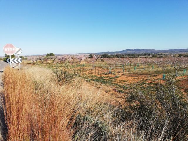 Terreno, Vall d&apos Alba