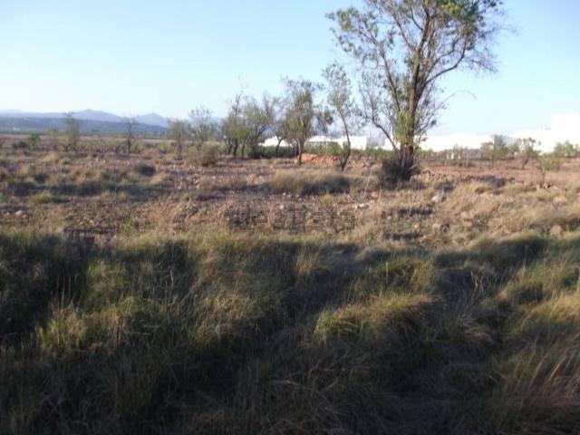 Terreno, Vall d&apos Alba