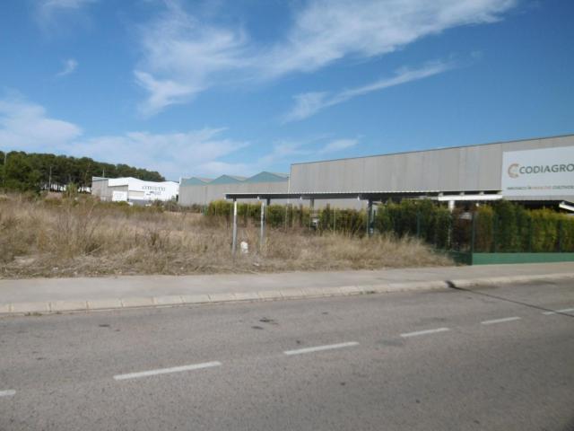 Terreno, Vall d&apos Alba