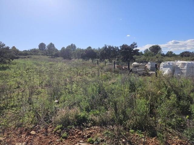 Terreno, Vall d&apos Alba