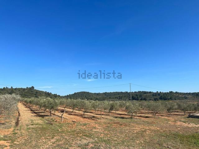 Terreno, Vall d&apos Alba