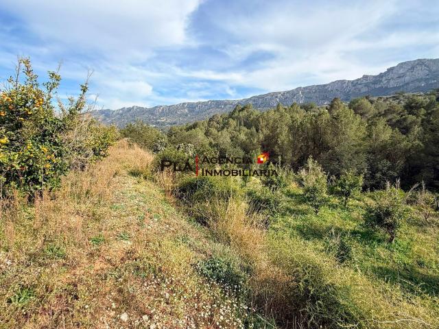 Terreno, Vall de Gallinera