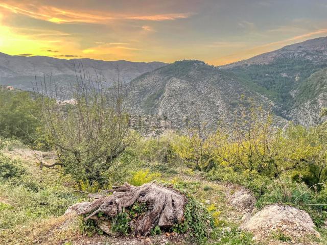 Terreno, Vall de Laguart