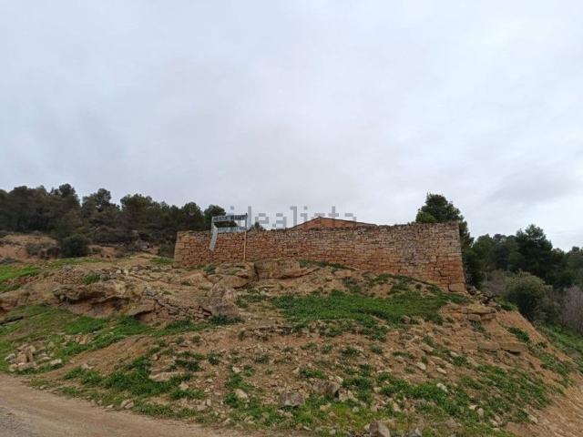 Terreno, Vallbona de les Monges