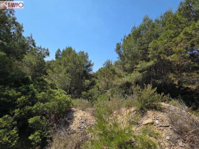 Terreno, Valldemar Montmar, Calafell