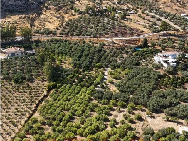 Terreno, Valle de Abdalajís