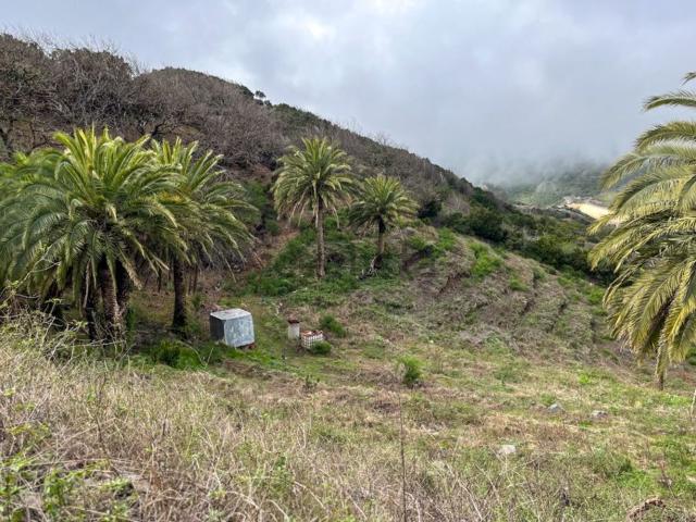 Terreno, Vallehermoso