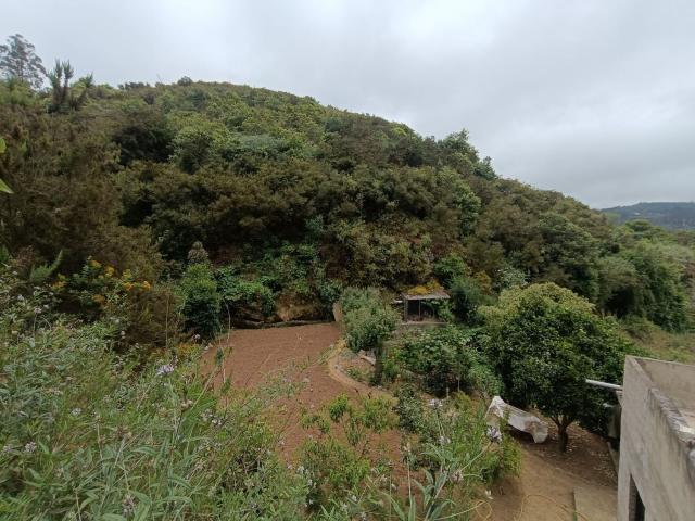 Terreno, Valleseco