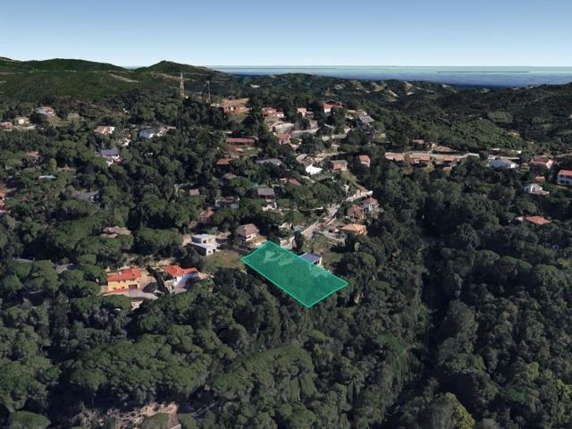 Terreno, Vallgorguina