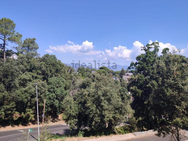 Terreno, Vallgorguina