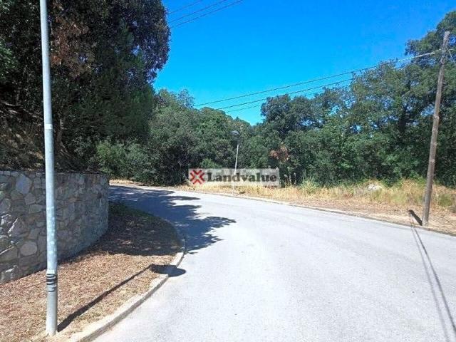 Terreno, Vallgorguina