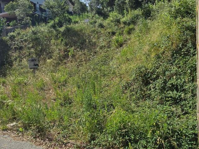 Terreno, Vallgorguina