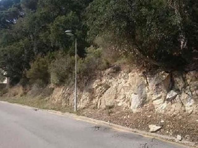 Terreno, Vallgorguina
