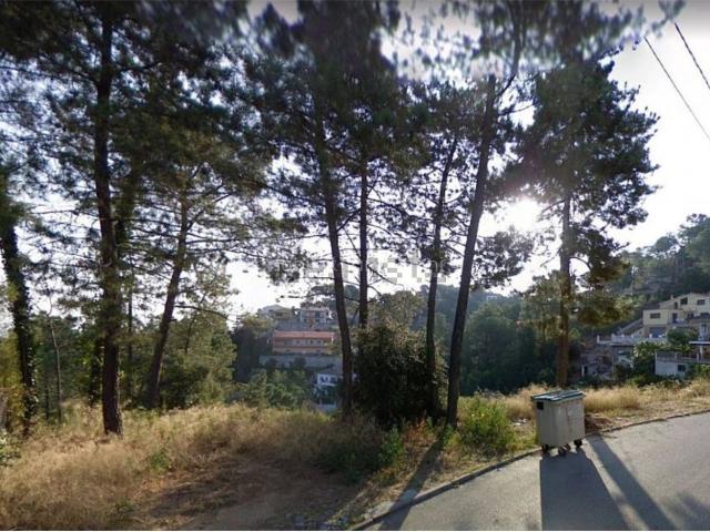Terreno, Vallgorguina