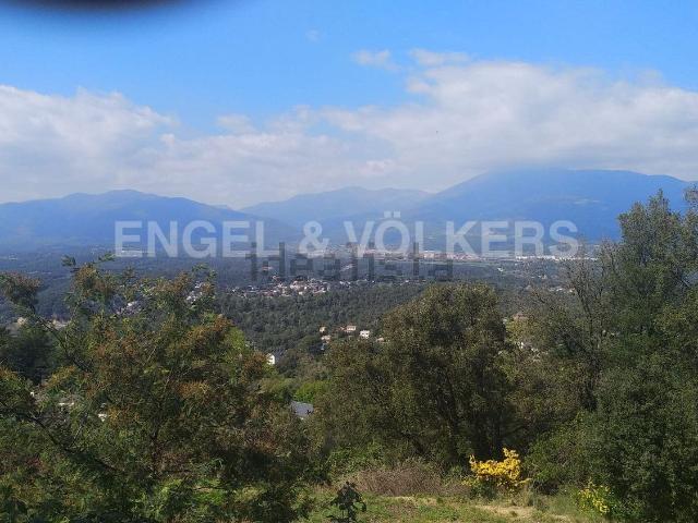 Terreno, Vallgorguina