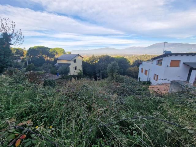 Terreno, Vallgorguina