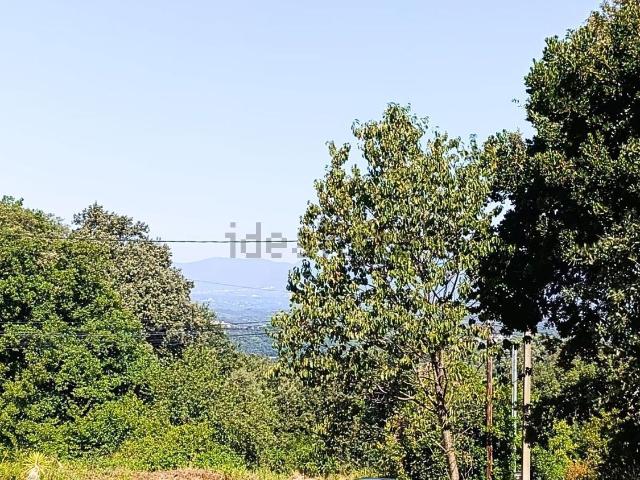 Terreno, Vallgorguina