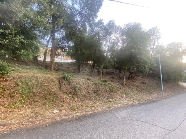 Terreno, Vallgorguina