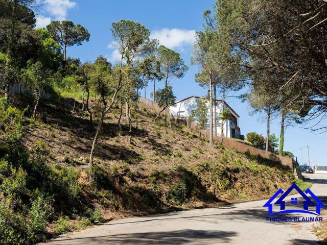 Terreno, Vallgorguina